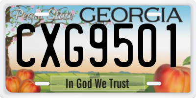 GA license plate CXG9501