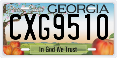 GA license plate CXG9510