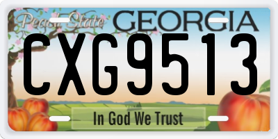 GA license plate CXG9513