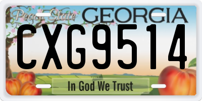 GA license plate CXG9514