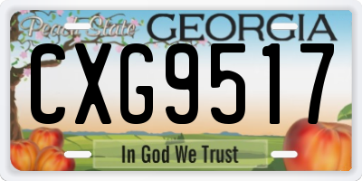 GA license plate CXG9517