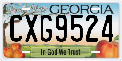 GA license plate CXG9524