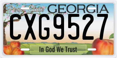 GA license plate CXG9527