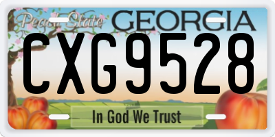GA license plate CXG9528