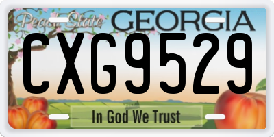 GA license plate CXG9529