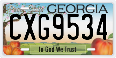 GA license plate CXG9534