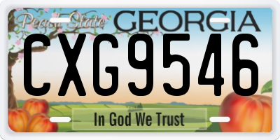 GA license plate CXG9546