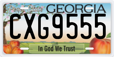 GA license plate CXG9555