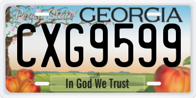 GA license plate CXG9599