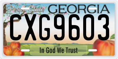 GA license plate CXG9603