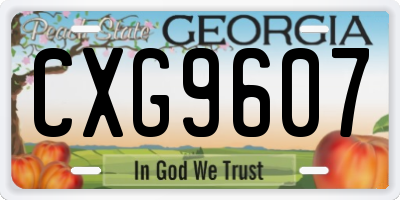 GA license plate CXG9607