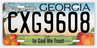 GA license plate CXG9608