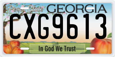 GA license plate CXG9613