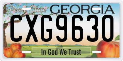 GA license plate CXG9630