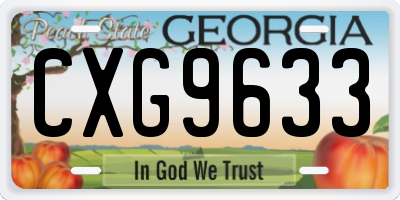 GA license plate CXG9633