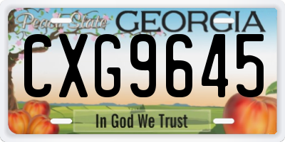 GA license plate CXG9645