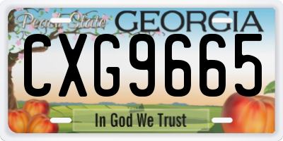 GA license plate CXG9665