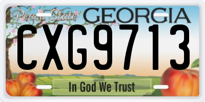 GA license plate CXG9713