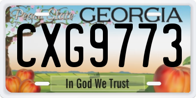 GA license plate CXG9773
