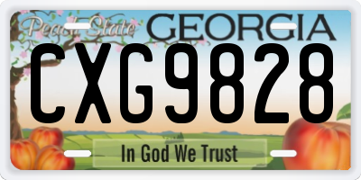 GA license plate CXG9828