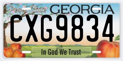 GA license plate CXG9834