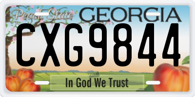 GA license plate CXG9844