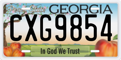 GA license plate CXG9854