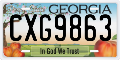 GA license plate CXG9863
