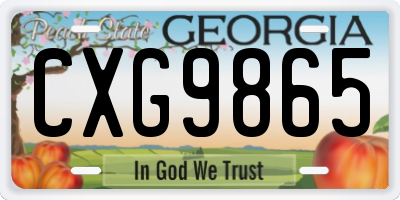 GA license plate CXG9865