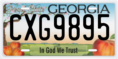 GA license plate CXG9895