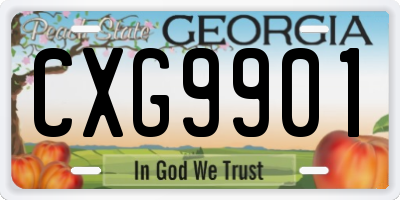 GA license plate CXG9901