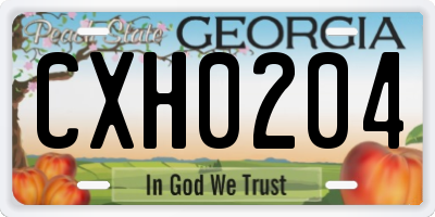GA license plate CXH0204