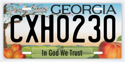 GA license plate CXH0230
