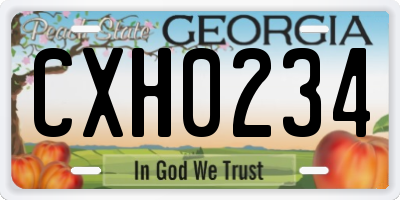GA license plate CXH0234