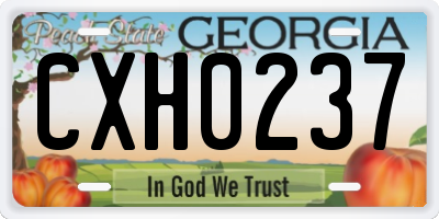 GA license plate CXH0237
