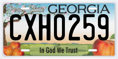 GA license plate CXH0259