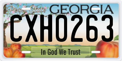 GA license plate CXH0263