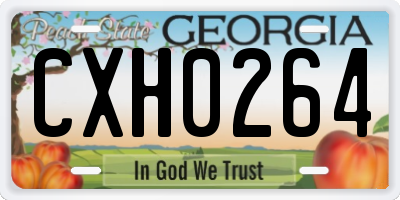 GA license plate CXH0264