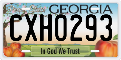 GA license plate CXH0293