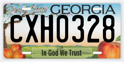 GA license plate CXH0328