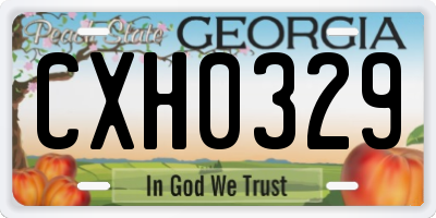 GA license plate CXH0329