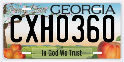 GA license plate CXH0360