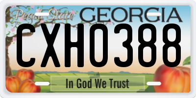 GA license plate CXH0388