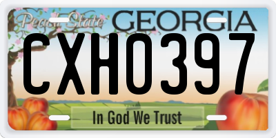 GA license plate CXH0397