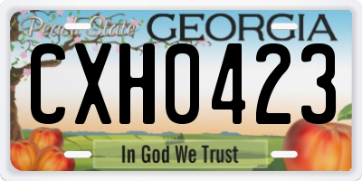 GA license plate CXH0423