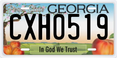 GA license plate CXH0519