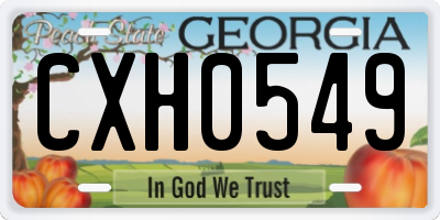 GA license plate CXH0549