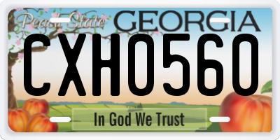GA license plate CXH0560