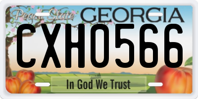 GA license plate CXH0566