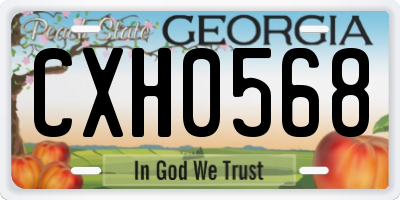 GA license plate CXH0568